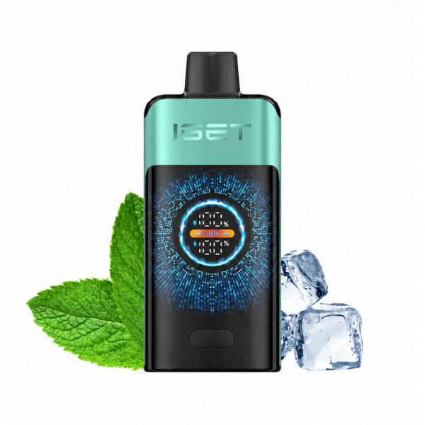 Mint-ice.jpg IGET ONE – Mountain Spring Mint Ice